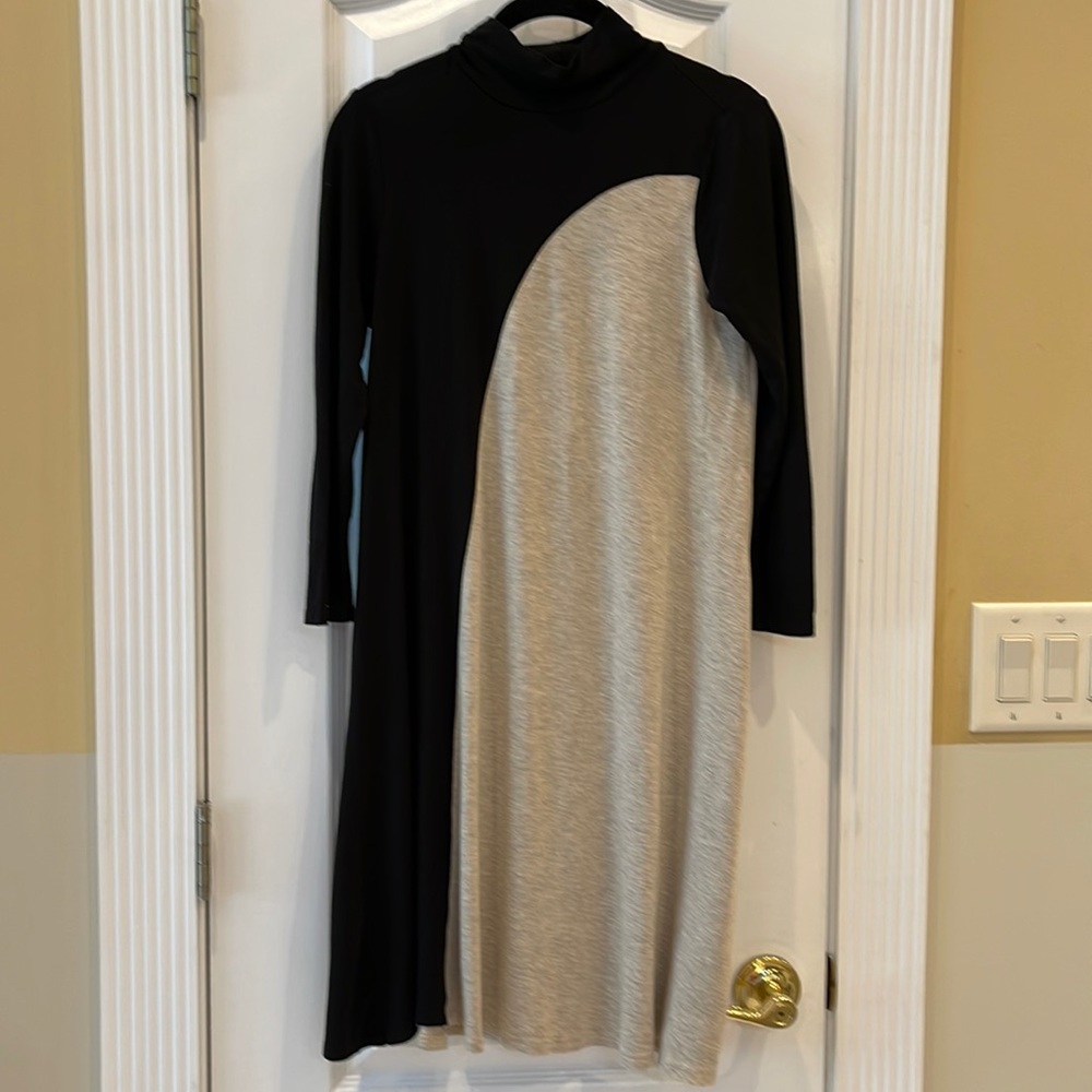 Anthropology dress in Size S by Weston turtleneck style